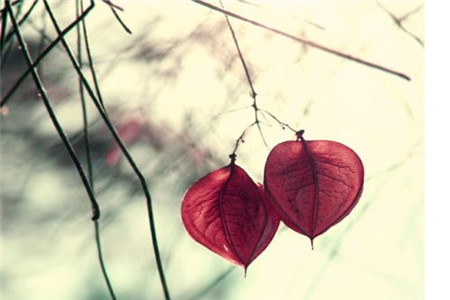 廣東自考一次報考幾科比較好？