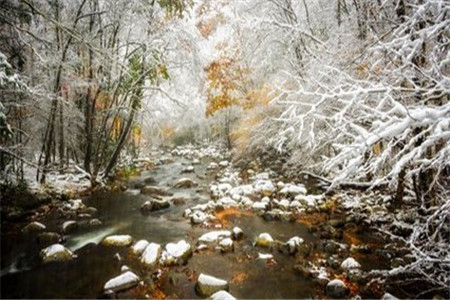 參加廣東自考有哪些限制條件？